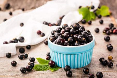 Growing Black Currants Image